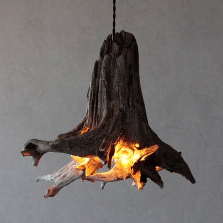Driftwood roots pendant light