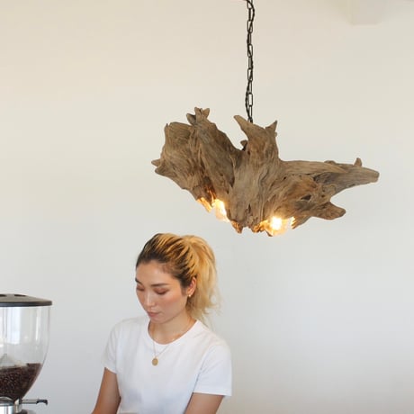Volcano driftwood Wbulb light