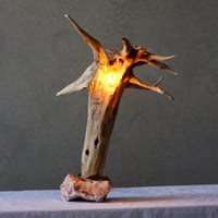 Pink stone×Driftwood table light