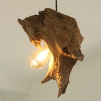 "Kyushu" Light