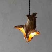 W bulbs Driftwood pendant light