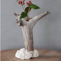 Driftwood stand flowervase#2