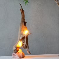 2bulbs Driftwood table light