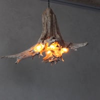 Driftwood roots pendant light