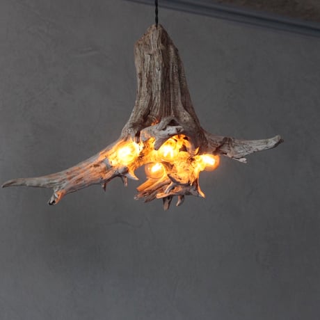 Driftwood roots pendant light