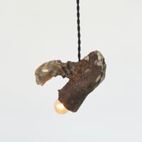 Driftwood pendant light#2