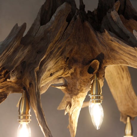 9bulbs Roots Chandelier
