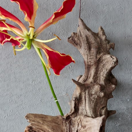 Hanging Flower vase#1