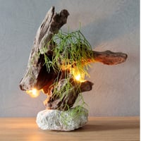 Wbulb table light