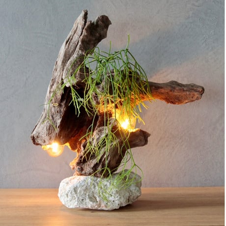 Wbulb table light