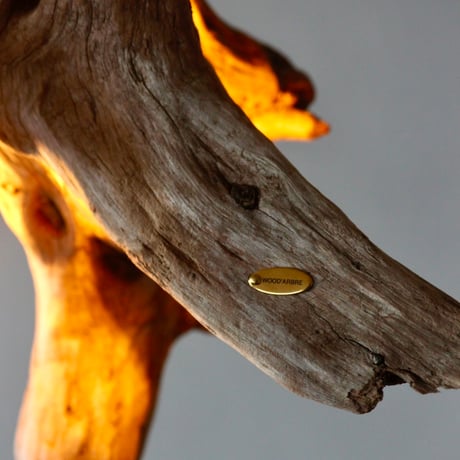 Driftwood branch 2bulbs pendant light