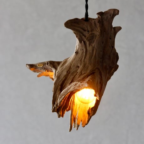 W bulbs Driftwood pendant light