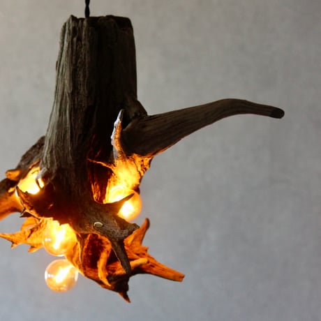 4bulbs Roots pendant light
