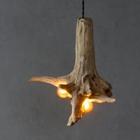 W bulbs simple wood  light