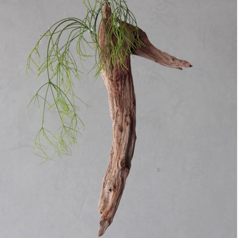 6a38ae270b01f500462a113f