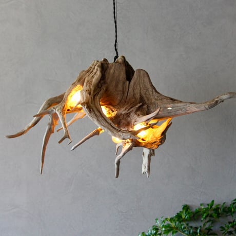 5bulbs Roots pendant light
