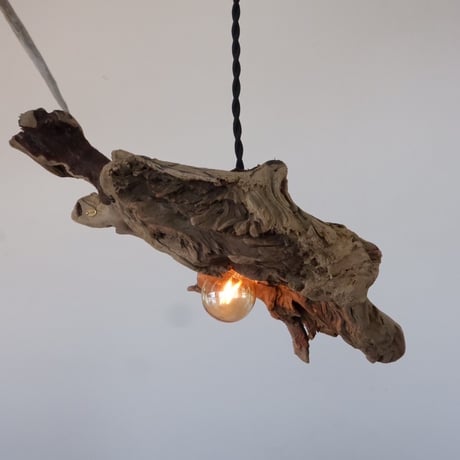 inclination shade pendant light