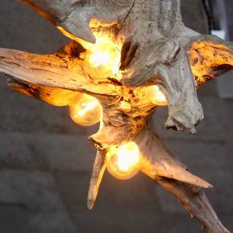 Driftwood Roots 4bulbs pendant light