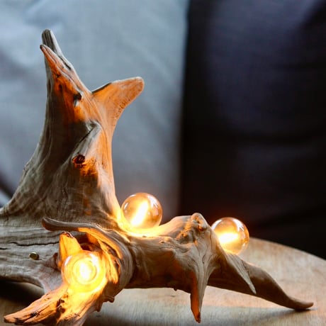 Driftwood table light