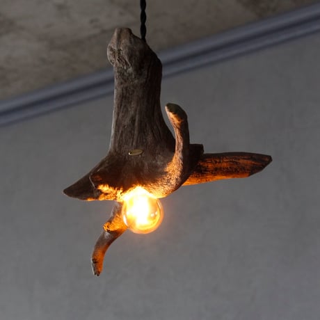 Driftwood branch pendant light