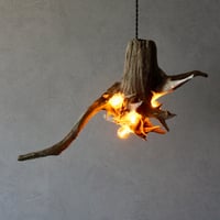 4bulbs Roots pendant light