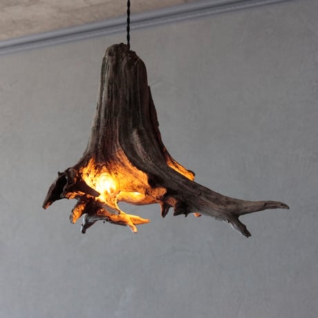 Driftwood roots pendant light