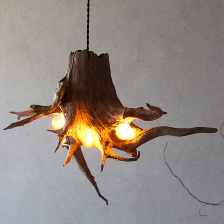 4bulbs Roots light