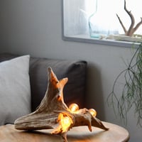 Driftwood table light