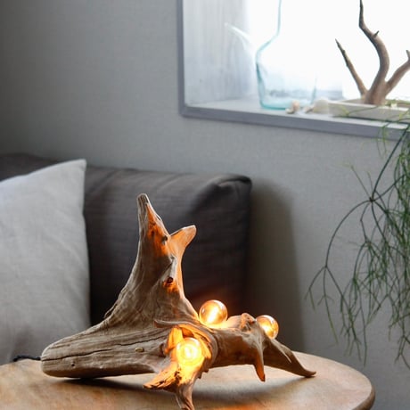 Driftwood table light