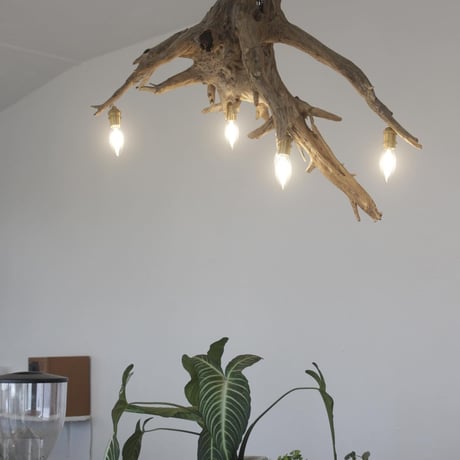 ROOTS chandelier