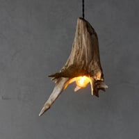 Dry Driftwood pendant light