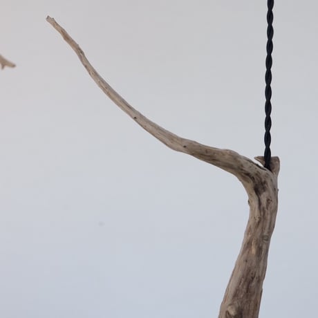 Slim tali driftwood pendant light