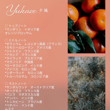 WOOD'ARBRE×menoo ーフレグランスオイル＆リードディフューザーセット#I