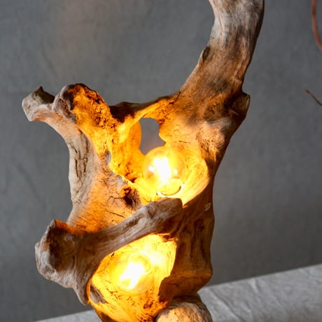 Driftwood 2bulbs table light