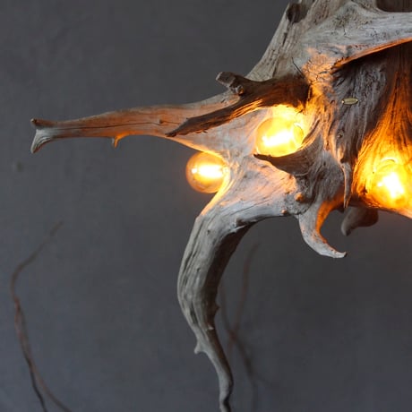 4bulbs Roots light