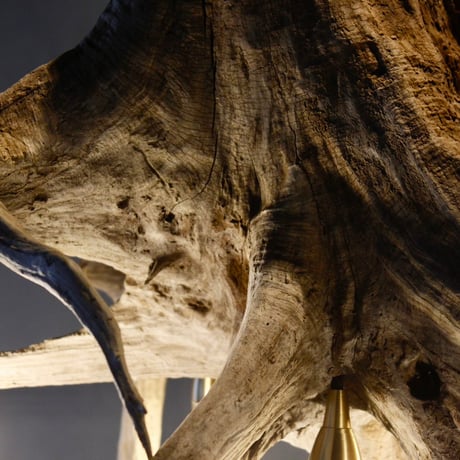 Driftwood Roots 5bulbs chandelier