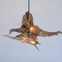 3bulbs Roots pendant light
