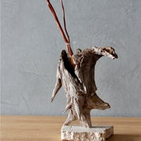 WOOD'ARBRE×menoo フレグランスオイル＆リードディフューザー#F