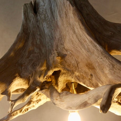 5bulbs Roots convolute Chandelier