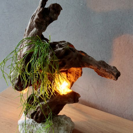 Wbulb table light
