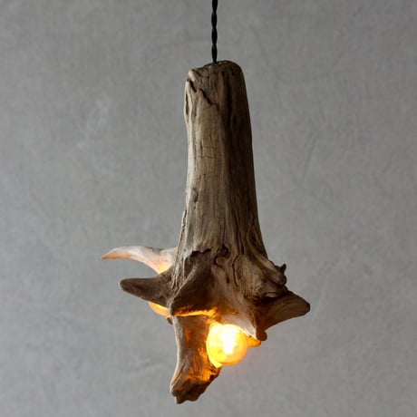 W bulbs simple wood  light