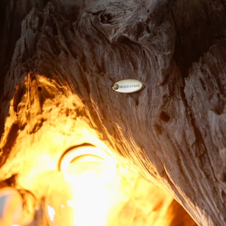 4bulbs Driftwood pendant light