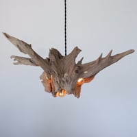 Stump glows pendant light