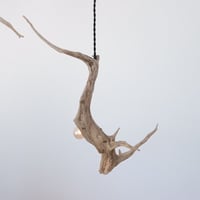 Slim tali driftwood pendant light