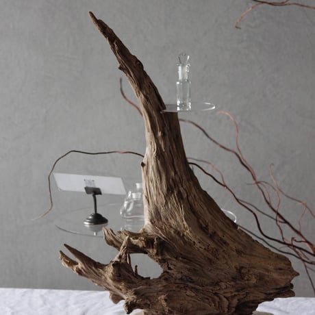 Driftwood Display stand