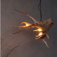 5Bulbs diagonally roots chandelier