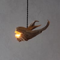 curve driftwood pendant light