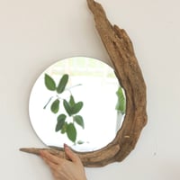 Drift wood Large mirror#1