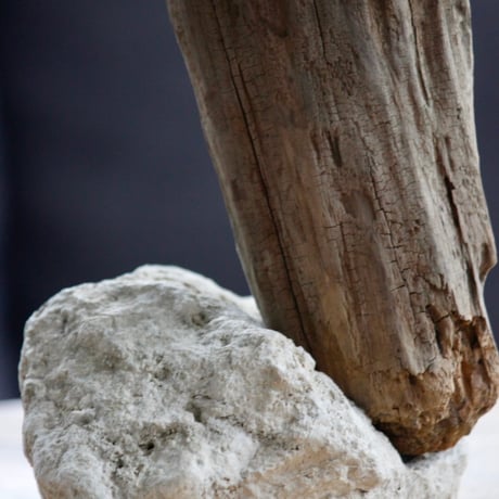 Driftwood flower vase