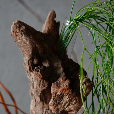 Driftwood natunalstone flowervase#C